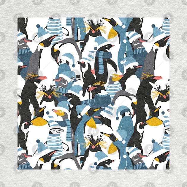 Merry penguins // pattern // black white grey dark teal yellow and coral type species of penguins blue dressed for winter and Christmas season (King, African, Emperor, Gentoo, Galápagos, Macaroni, Adèlie, Rockhopper, Yellow-eyed, Chinstrap) by SelmaCardoso